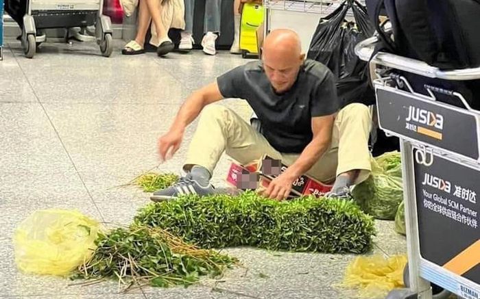Bức ảnh khách tây vô tư ngồi nhặt rau ở sảnh sân bay Nội Bài gây xôn xao mạng xã hội