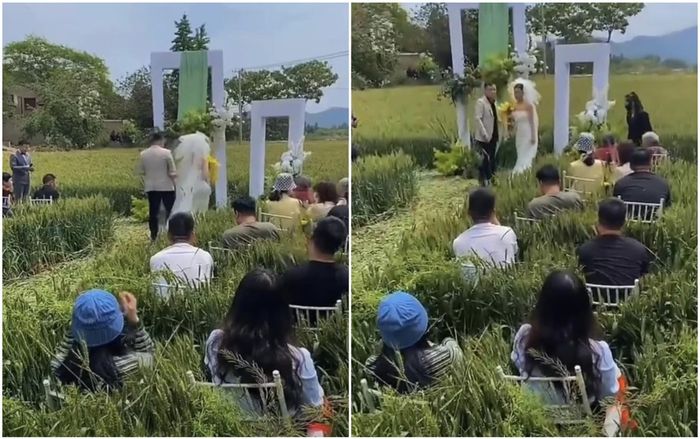 Đám cưới tổ chức ở ruộng lúa có một không hai, dân mạng nhìn xong chỉ thấy ngứa thay quan khách