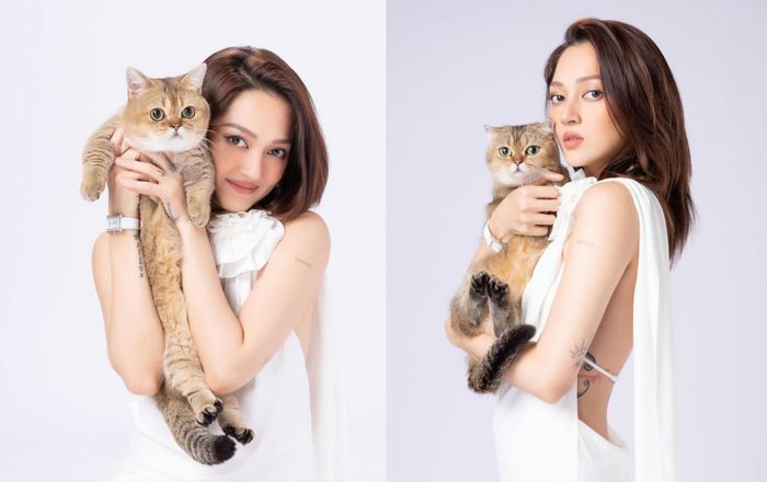 Thực hư tiếng em bé xuất hiện trong livestream của Bảo Anh?