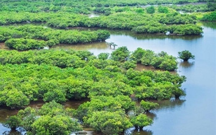 Đi trải nghiệm bắt ngao ở vườn quốc gia, phụ huynh và học sinh tử vong thương tâm