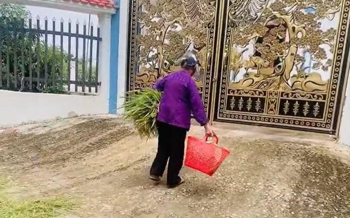 Thấy cụ bà già yếu bơ vơ, chàng trai tốt bụng cho quá giang, đến nhà cụ phát hiện sự thật ngỡ ngàng