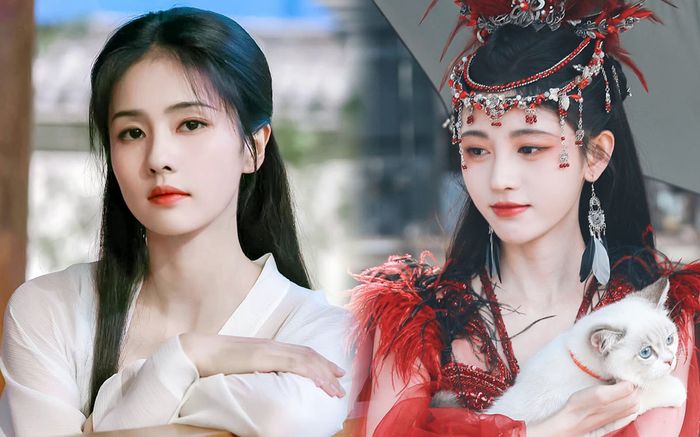 Hóa ra Cúc Tịnh Y là người đã khiến Ninh An Như Mộng của Bạch Lộc không thể lên sóng?