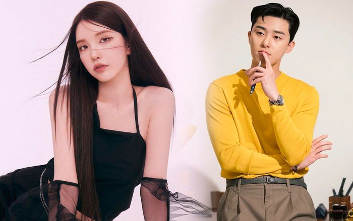 'Bạn gái tin đồn' Park Seo Joon bị công kích dữ dội khi thông tin hẹn hò rò rỉ