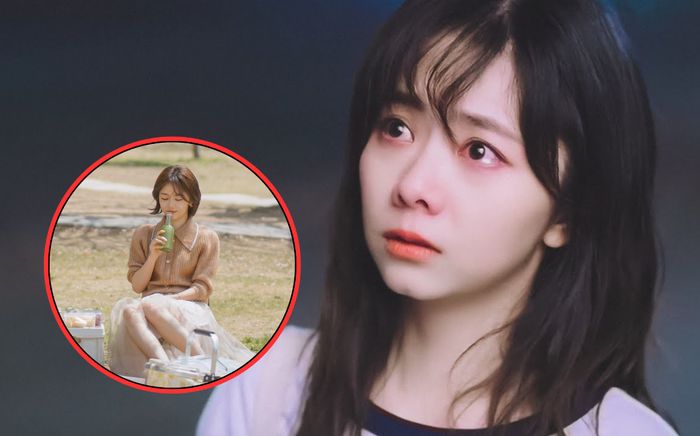 Bắt gặp Đàm Tùng Vận đi dã ngoại cùng bạn trai, còn mang theo cục cưng của cả hai