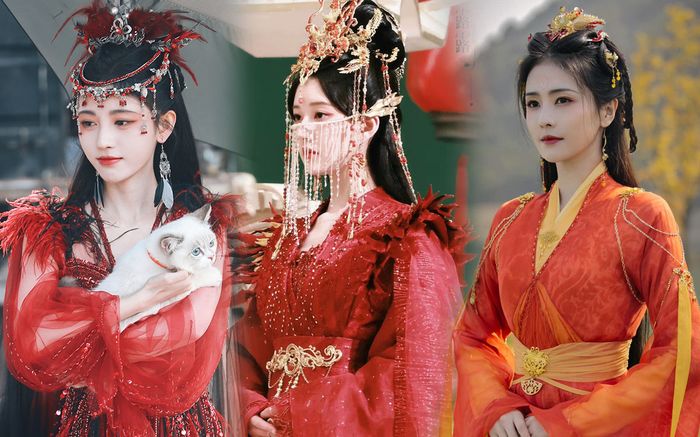 Cùng hóa thân thành phượng hoàng, Triệu Lộ Tư liệu có đè bẹp được Cúc Tịnh Y – Bạch Lộc?