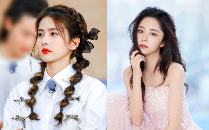 Bạch Lộc chính thức hết thời, nguyên nhân vì Đàm Tùng Vận