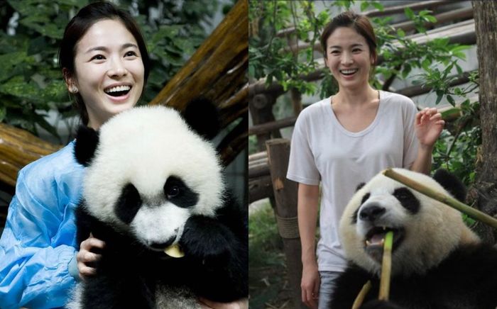 Cảnh Song Hye Kyo chăm sóc gấu trúc hot trở lại, mặt mộc mỹ nhân gây sốc