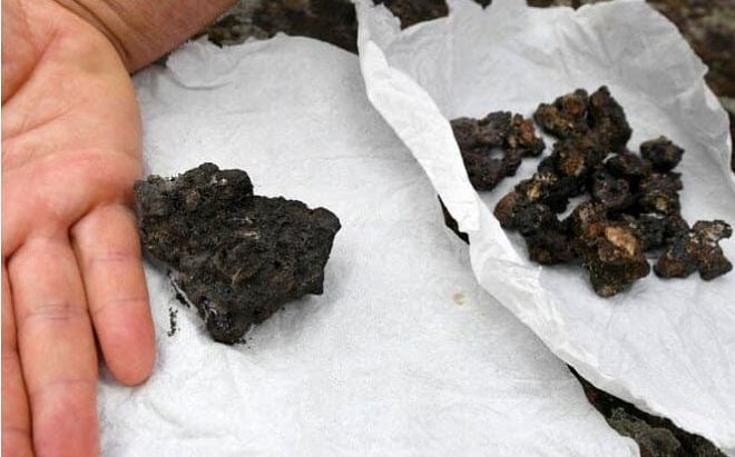 Đang uống cà phê, người phụ nữ bị thiên thạch từ trên trời rơi trúng