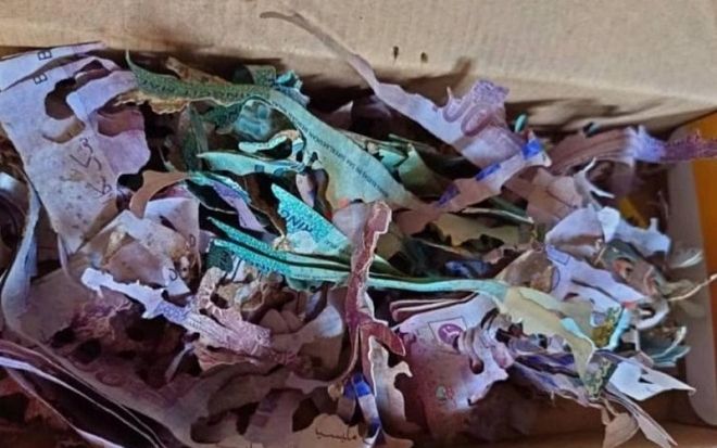 Cất tiền tiết kiệm trong hộp bánh, cụ bà ngậm ngùi nhìn tài sản hóa giấy vụn