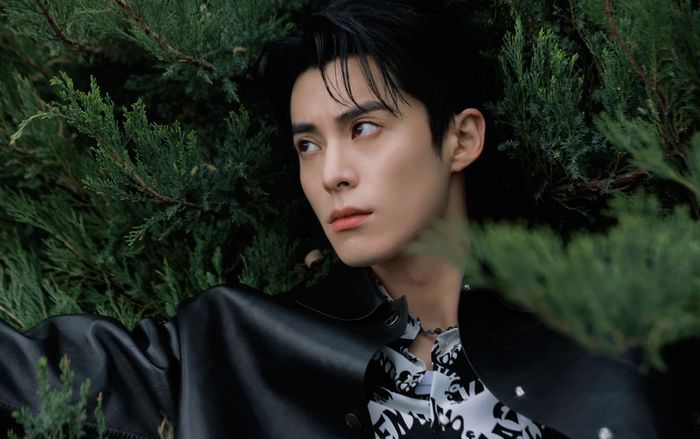 Vương Hạc Đệ tiết lộ lý do gia nhập showbiz, thái độ của fan gây chú ý