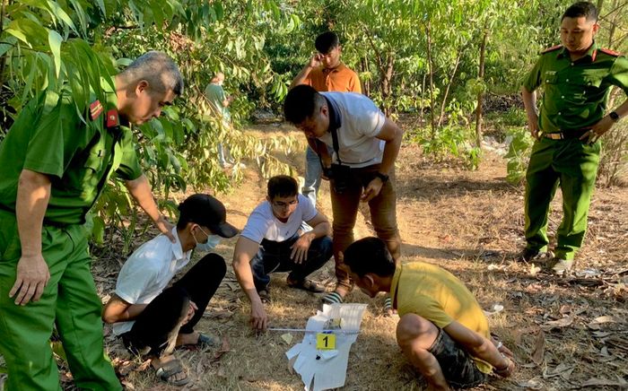Quảng Nam: 3 thanh niên đi vào rừng tràm lén lút làm điều không ai ngờ