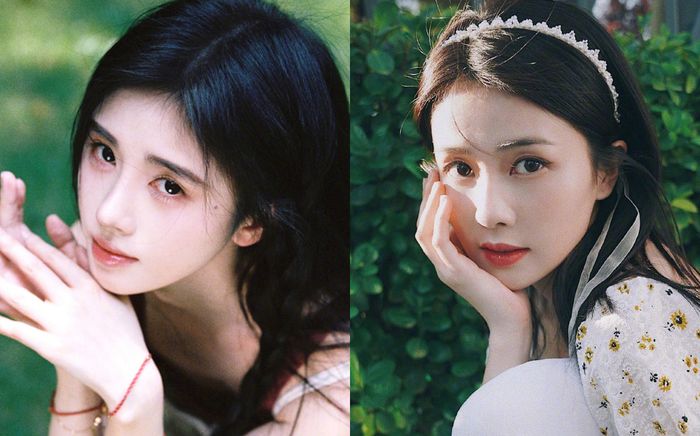 Cúc Tịnh Y bị tố cố tình bắt chước Bạch Lộc nhưng thất bại