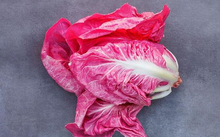 Có gì ở loài rau diếp với màu hồng đẹp mắt, giá bán lên tới nửa triệu đồng/kg?