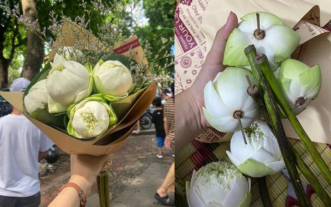 Mua hoa sen chụp ảnh đu trend mùa thu Hà Nội, dân mạng mách nhau cẩn thận 1 điều