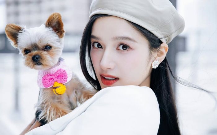 Lộ diện tiểu hoa 95 chiếm vị trí của Tống Tổ Nhi sau scandal