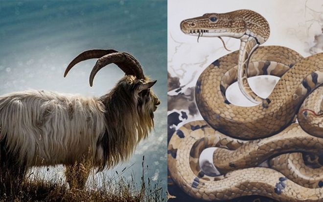 3 con giáp gặp hạn công danh đúng 5/9, bị tiểu nhân lợi dụng