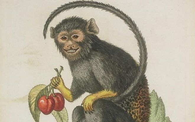 Bước qua tháng 'cô hồn', 3 con giáp đạp gió đón tiền tài, ung dung hưởng phúc