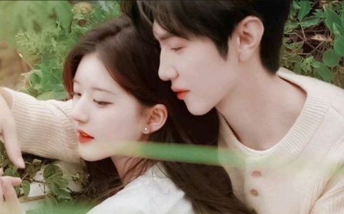 Vừa rời xa vòng tay Triệu Lộ Tư, Trần Triết Viễn nhận ngay thất bại đầu sự nghiệp