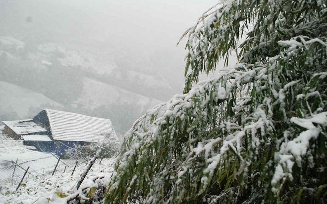 Miền Bắc mưa rét cắt da cắt thịt, Hà Nội xuống mức 8-10 độ