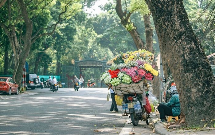 Trước khi đón đợt gió mùa đông Bắc cực mạnh, thời tiết miền Bắc thế nào?