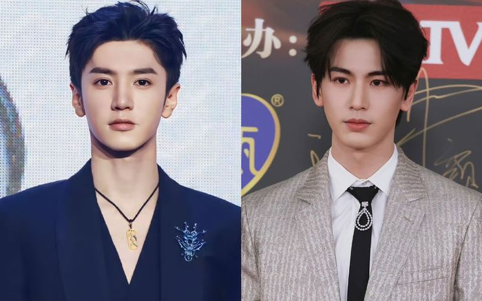 Cùng được IQIYI nâng đỡ, Trần Triết Viễn hay Trương Lăng Hách có đãi ngộ tốt hơn