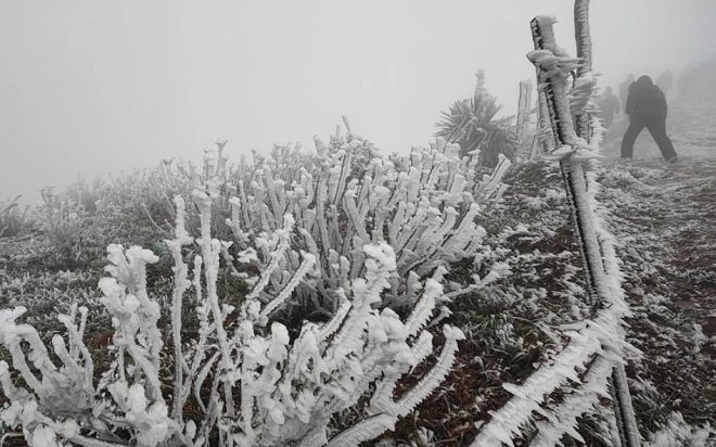 Đợt rét hại diện rộng tại miền Bắc bao giờ kết thúc?