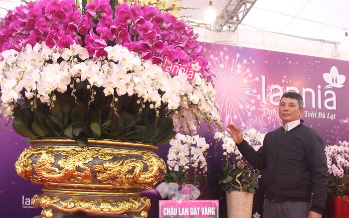 Xuất hiện chậu lan dát vàng có giá 1.7 tỷ đồng tại Bắc Giang