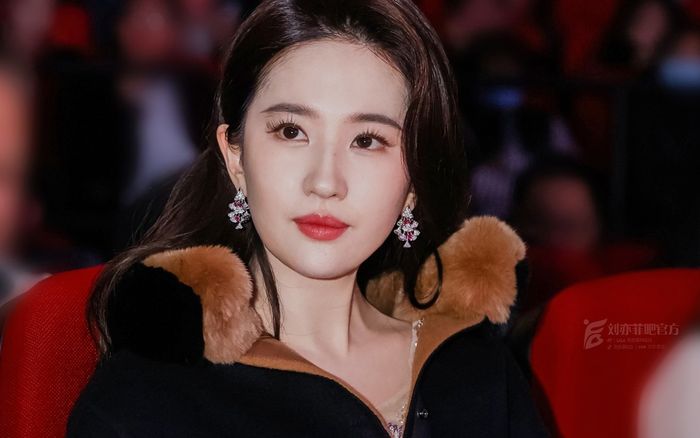 Lưu Diệc Phi nói lời ngọt ngào với người đặc biệt, tình cảm đã được 10 năm