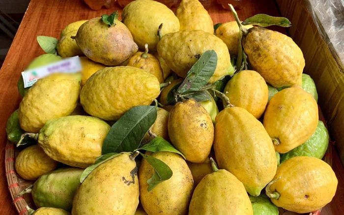 Loại quả xưa ít ai biết, giờ thành đặc sản được dân phố lùng mua nhưng khan hiếm, 100.000 đồng/kg