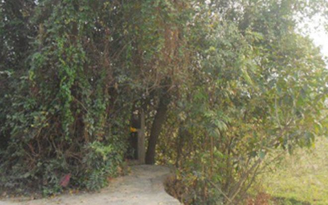 Bí ẩn ngôi mộ vô danh được đồn 'tự lớn' và loạt chuyện ly kỳ xảy ra