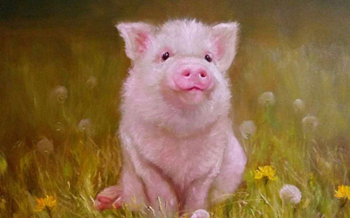 4 con giáp giàu có bất ngờ, lội ngược dòng ngoạn mục từ giữa tháng 10