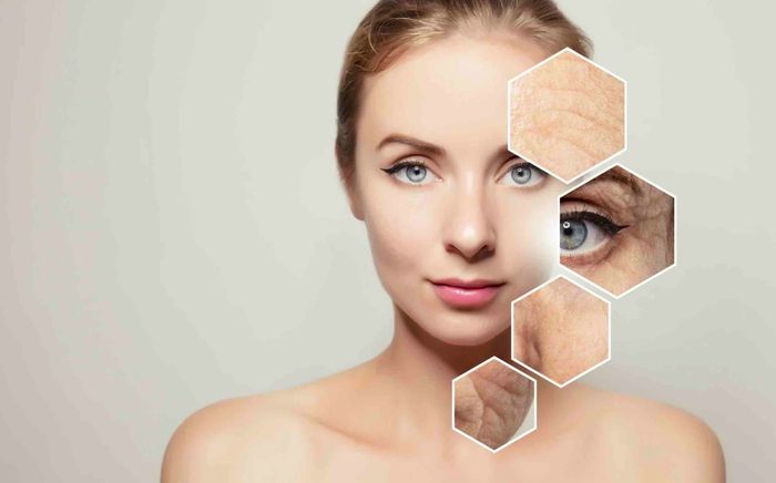 Trào lưu truyền NAD+ là gì?