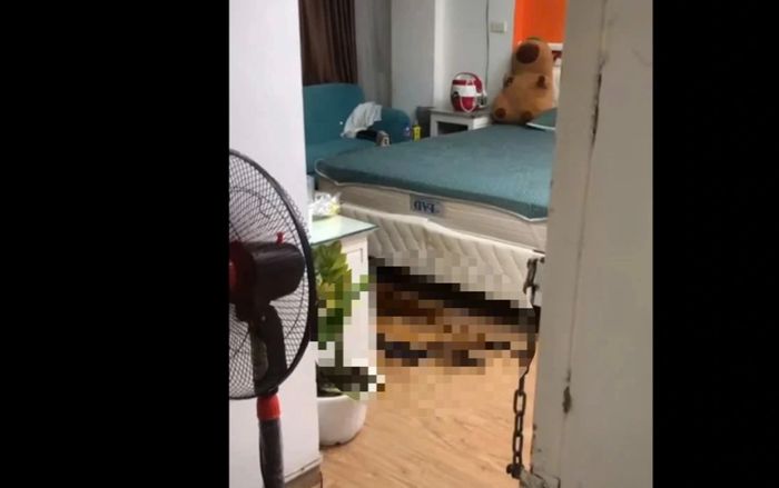 Phát hiện thi thể cô gái trẻ phân hủy trong chung cư mini ở Hà Nội