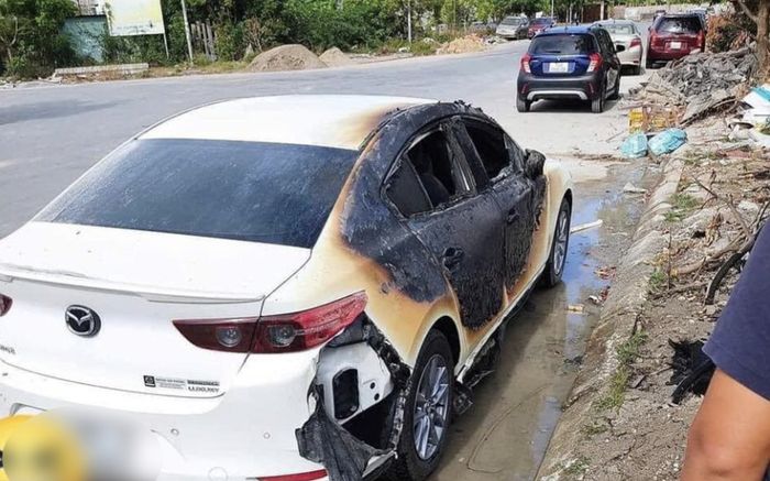 Người đàn ông tâm thần đốt lá cây làm cháy ô tô: Thiệt hại 100 triệu đồng