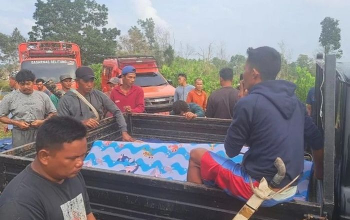 Rửa chân dưới sông, thanh niên bị cá sấu khổng lồ kéo đi, bố vợ đi kiếm thì phát hiện cảnh tượng đau lòng