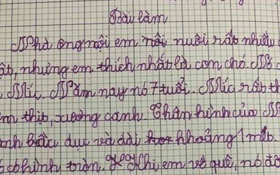 Học sinh tiểu học làm bài văn tả con chó, một chi tiết viết ra khiến dân tình cười ngất