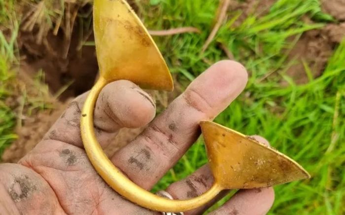 Đi bộ trên cánh đồng, người đàn ông đổi đời vì đào được kho báu nghìn năm