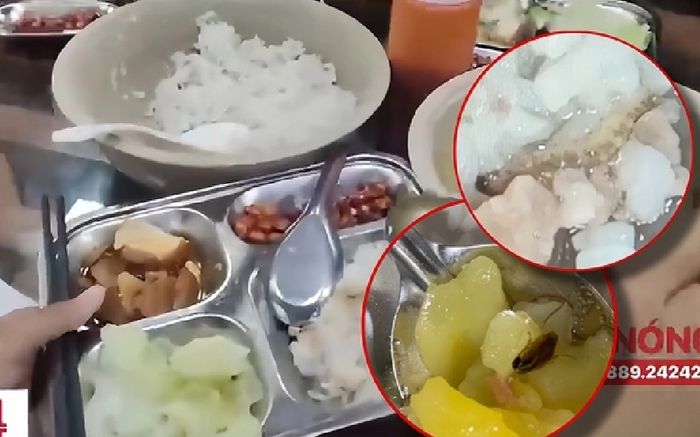 ĐH Bách khoa Hà Nội đóng cửa nhà ăn sau sự cố 'cơm thừa canh cặn' khiến sinh viên bức xúc