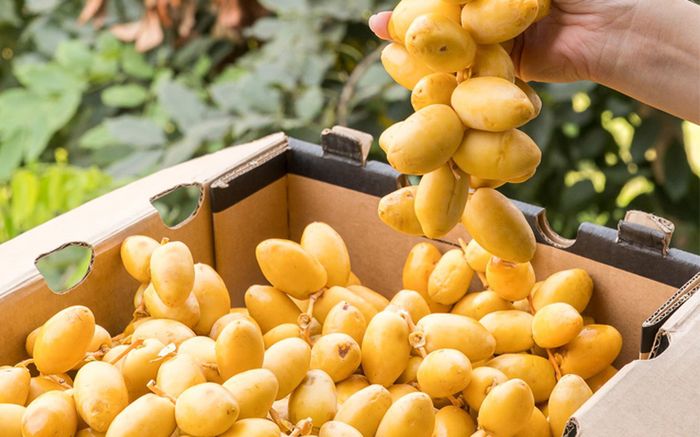 Loại quả xưa ít ai ăn, giờ thành đặc sản được ưa chuộng vì bổ dưỡng, 300.000 đồng/kg