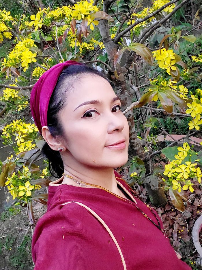 Việt Trinh giải nghệ sau 30 năm làm nghề?