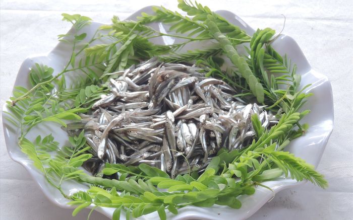 Loại cá xưa dành cho nhà nghèo, giờ thành đặc sản muốn mua phải đặt trước, 110.000 đồng/kg