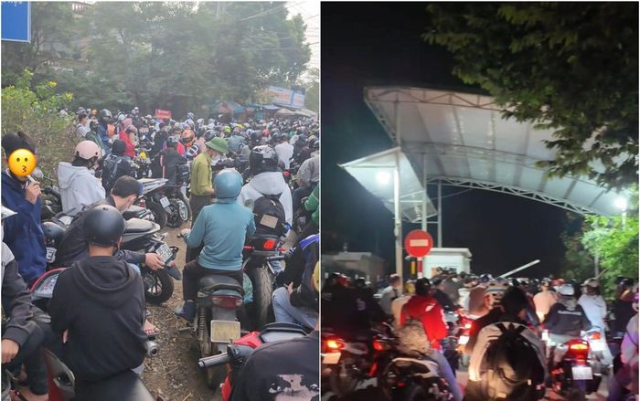 Biển người đổ xô đi ngắm hoa dã quỳ từ rạng sáng ở Vườn Quốc gia Ba Vì