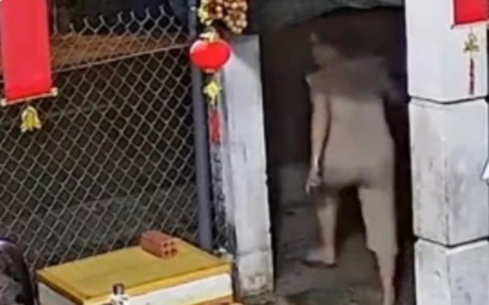 Người phụ nữ hốt hoảng chạy quanh nhà tìm thứ quan trọng, kết quả khiến ai nấy đều phì cười