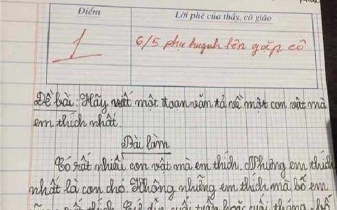 Bài văn tả con vật yêu thích nhận điểm 1, cô giáo phải mời phụ huynh lên gặp