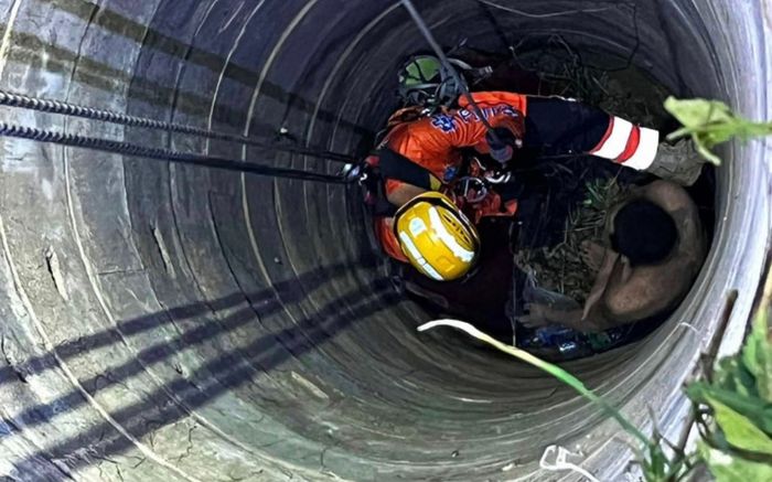 Tiếng kêu cứu từ giếng nước giữa rừng sâu hé lộ sự thật kinh hoàng