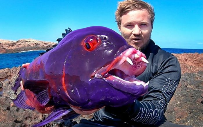 Người đàn ông câu được con cá mắt đỏ kỳ lạ, cả làng đổ xô đến xem, hóa ra loài quý hiếm