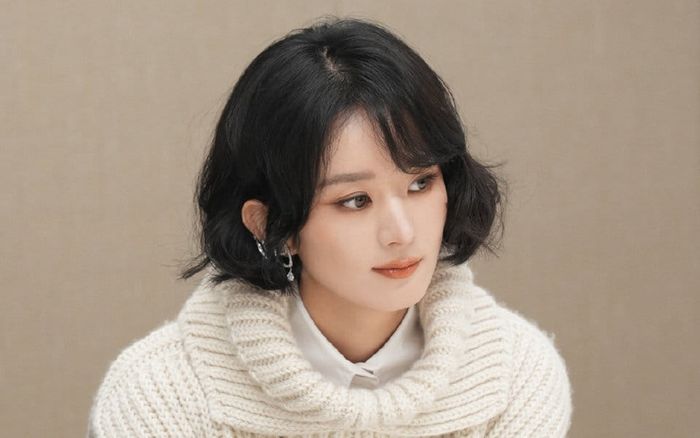 Triệu Lệ Dĩnh dính nghi vấn đóng phim đạo nhái