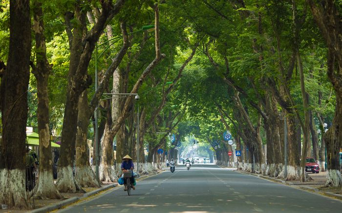 Dự báo thời tiết hôm nay (7/11): Miền Bắc đón tin vui sau chuỗi ngày không khí lạnh