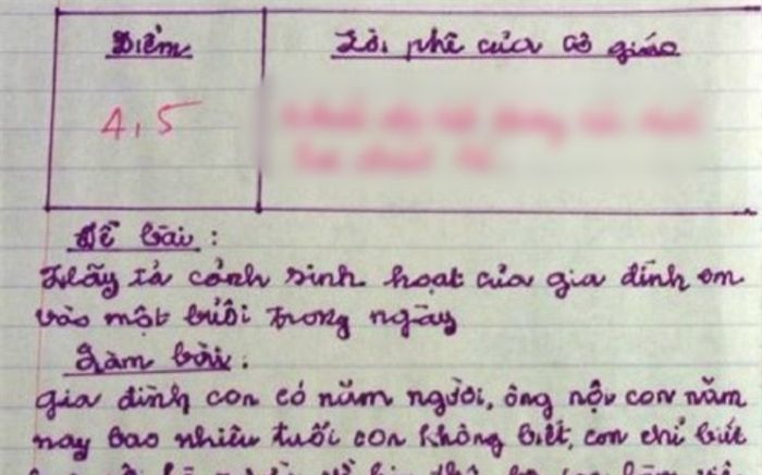 Bài văn tả cảnh sinh hoạt được 4.5 điểm, cô viết lời phê khiến ai cũng gật gù đồng ý