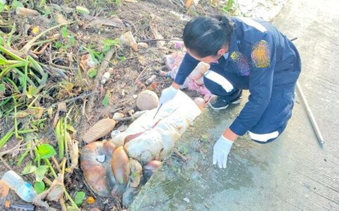Phát hiện 2 bao tải lạ bốc mùi, người dân bức xúc khi chứng kiến thứ bên trong
